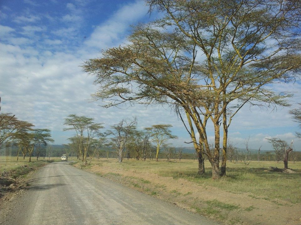 Kenya Nakuru safari