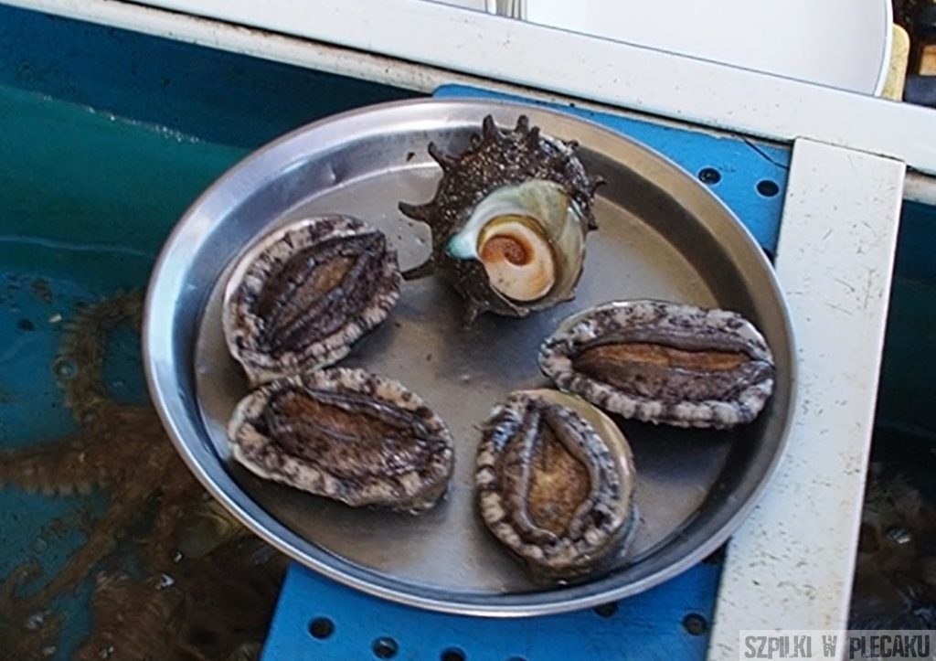 uchowiec - abalone