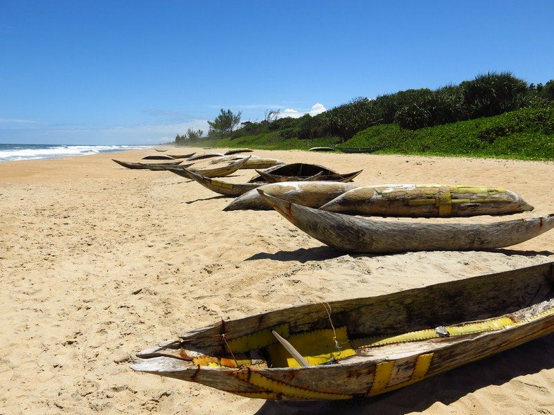 IMG_1511_3