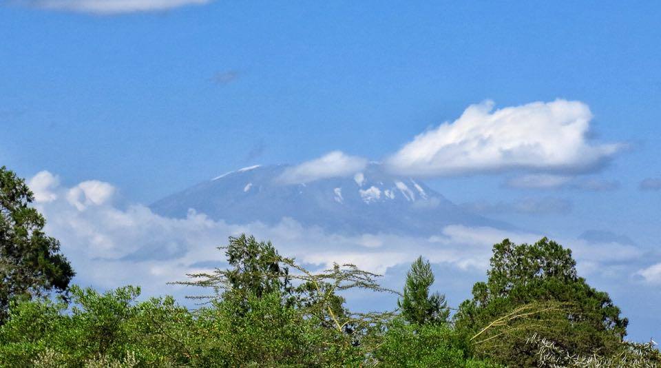 Kilimanjaro