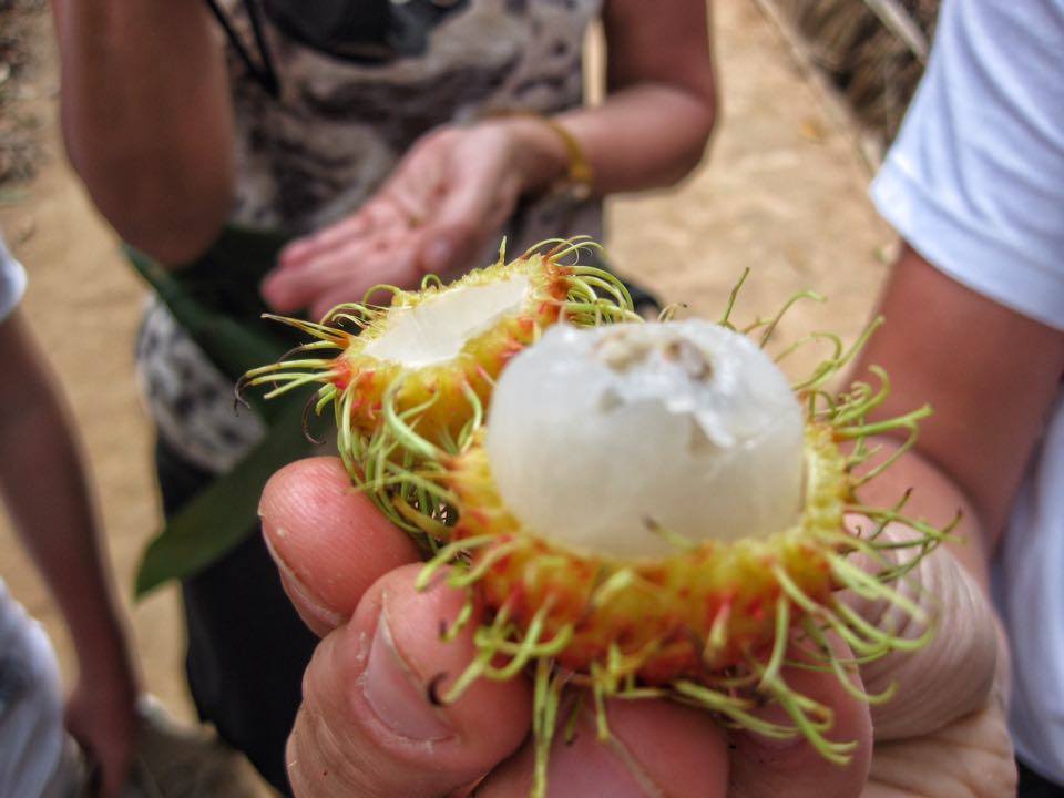 rambutan