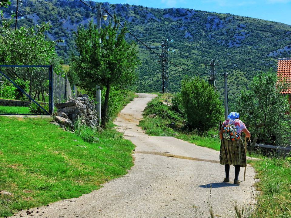 Babacia z Velebit