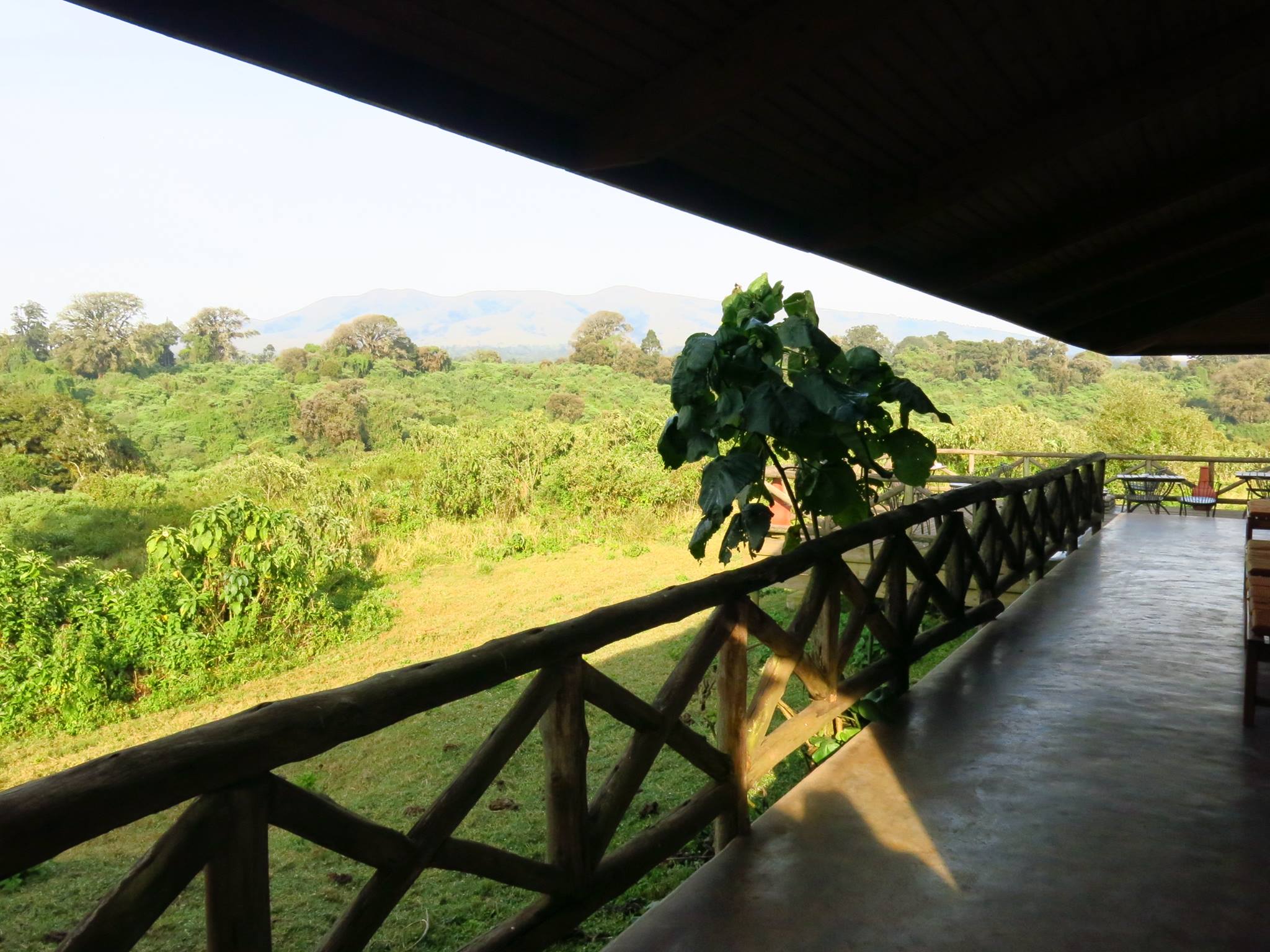 restauracja lodga