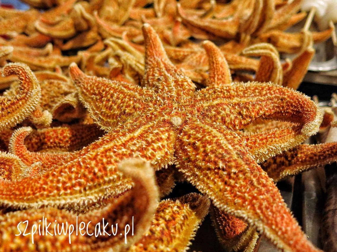 rozgwiazda