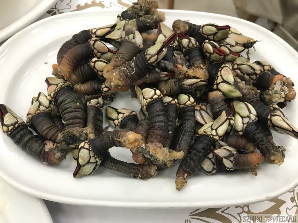 percebes - kaczenice - Portugalia
