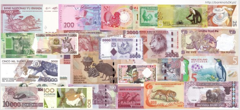 zwierzęta na banknotach