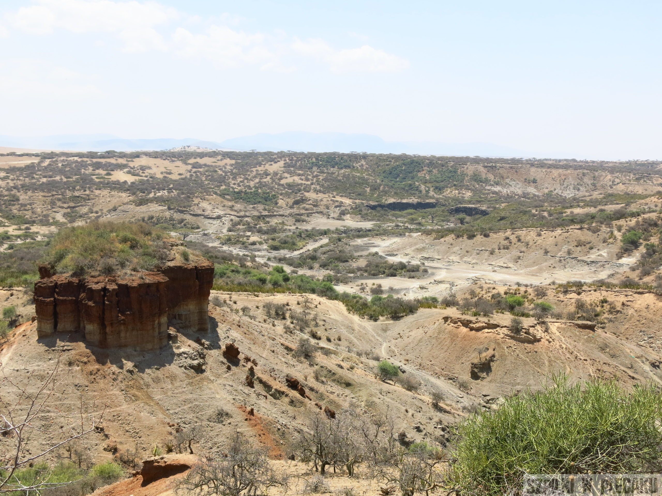 Serengeti - Tanzania - Szpilki w plecaku
