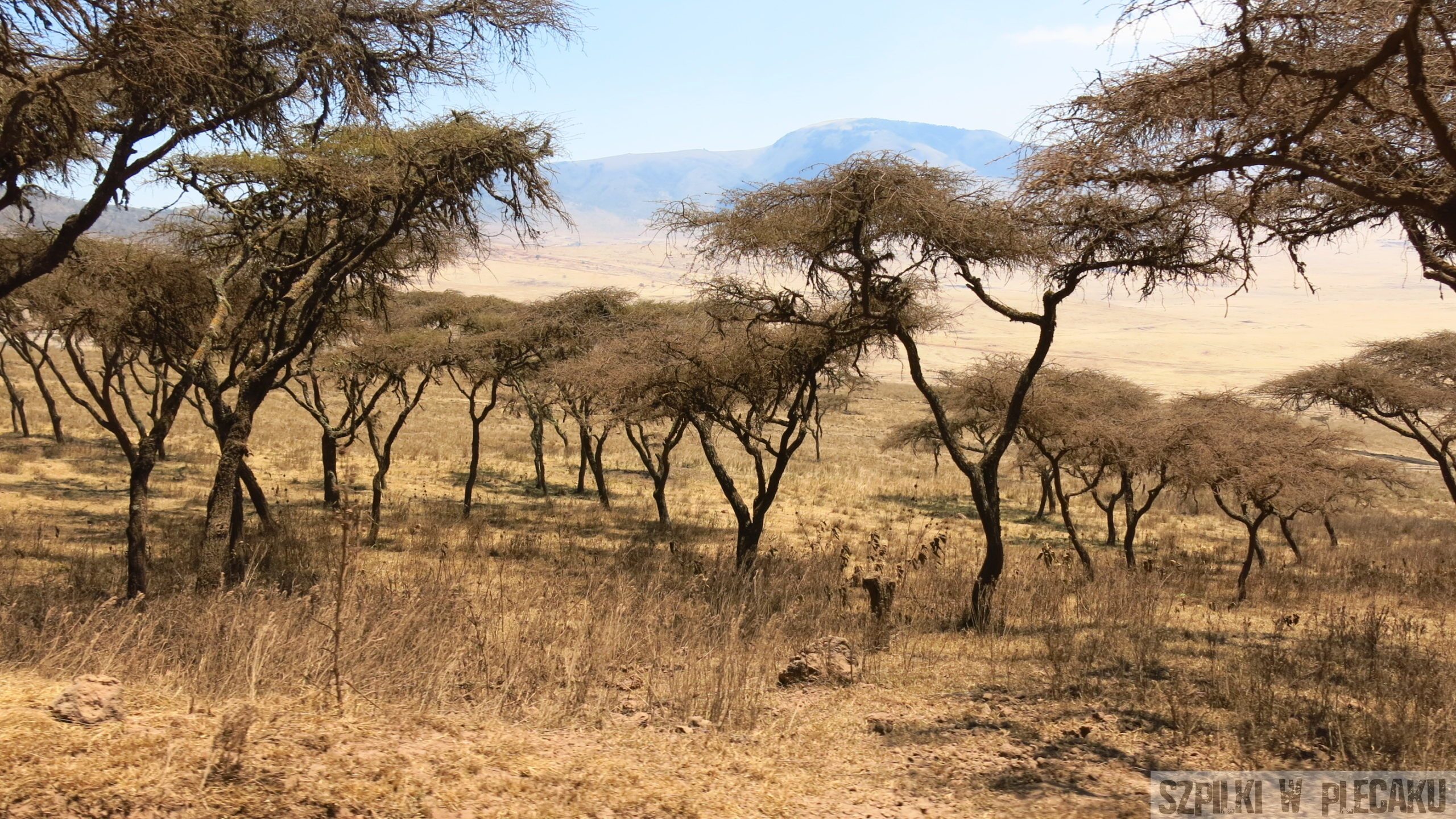 Serengeti - Tanzania - Szpilki w plecaku