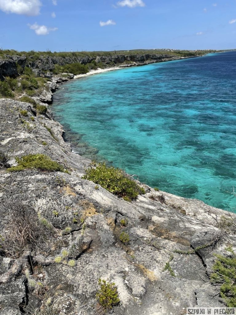 Bonaire - Szpilki w plecaku