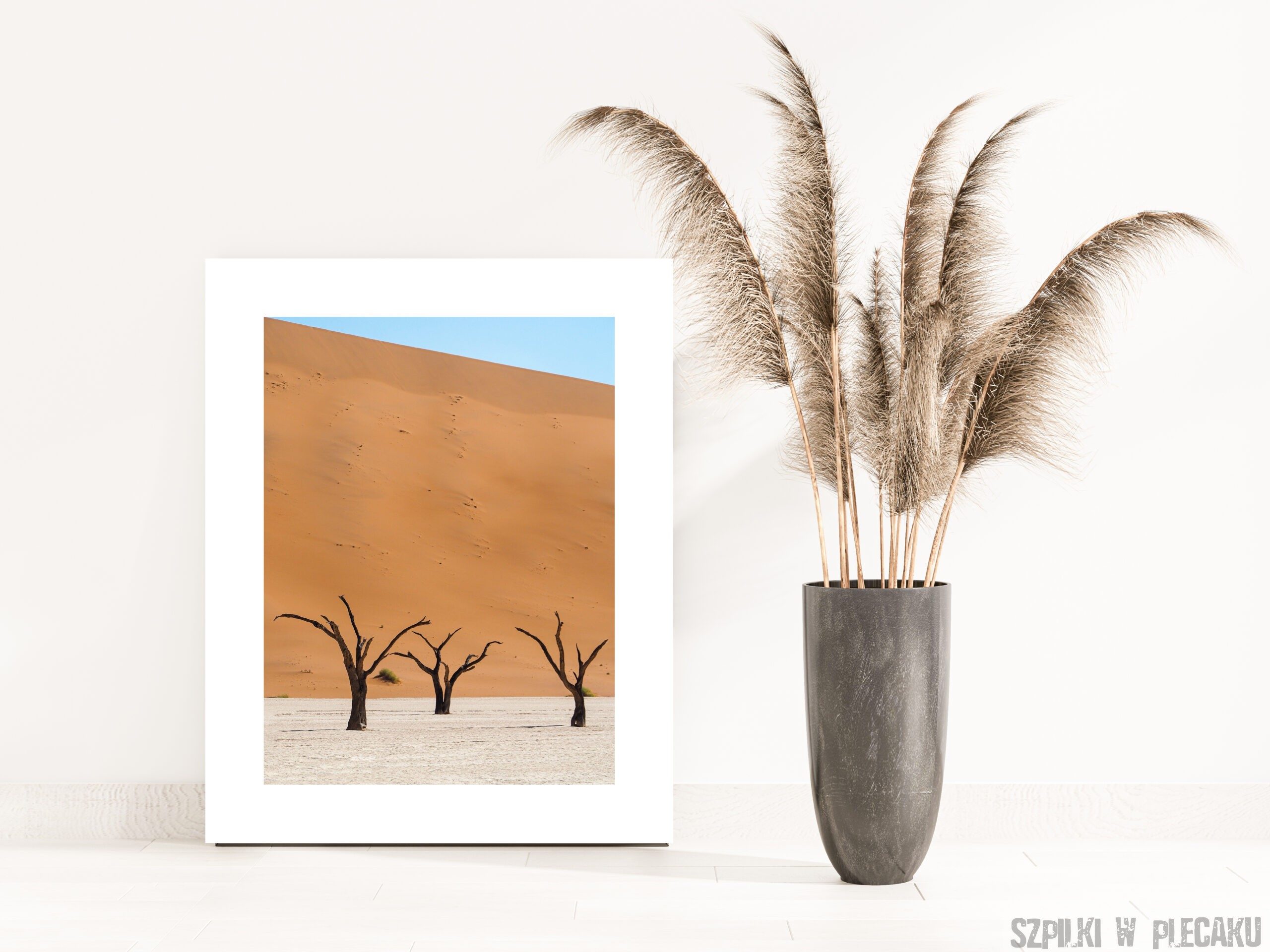 NAMIBIA - DEADVLEI - fotografia kolekcjonerska - obrazek 2