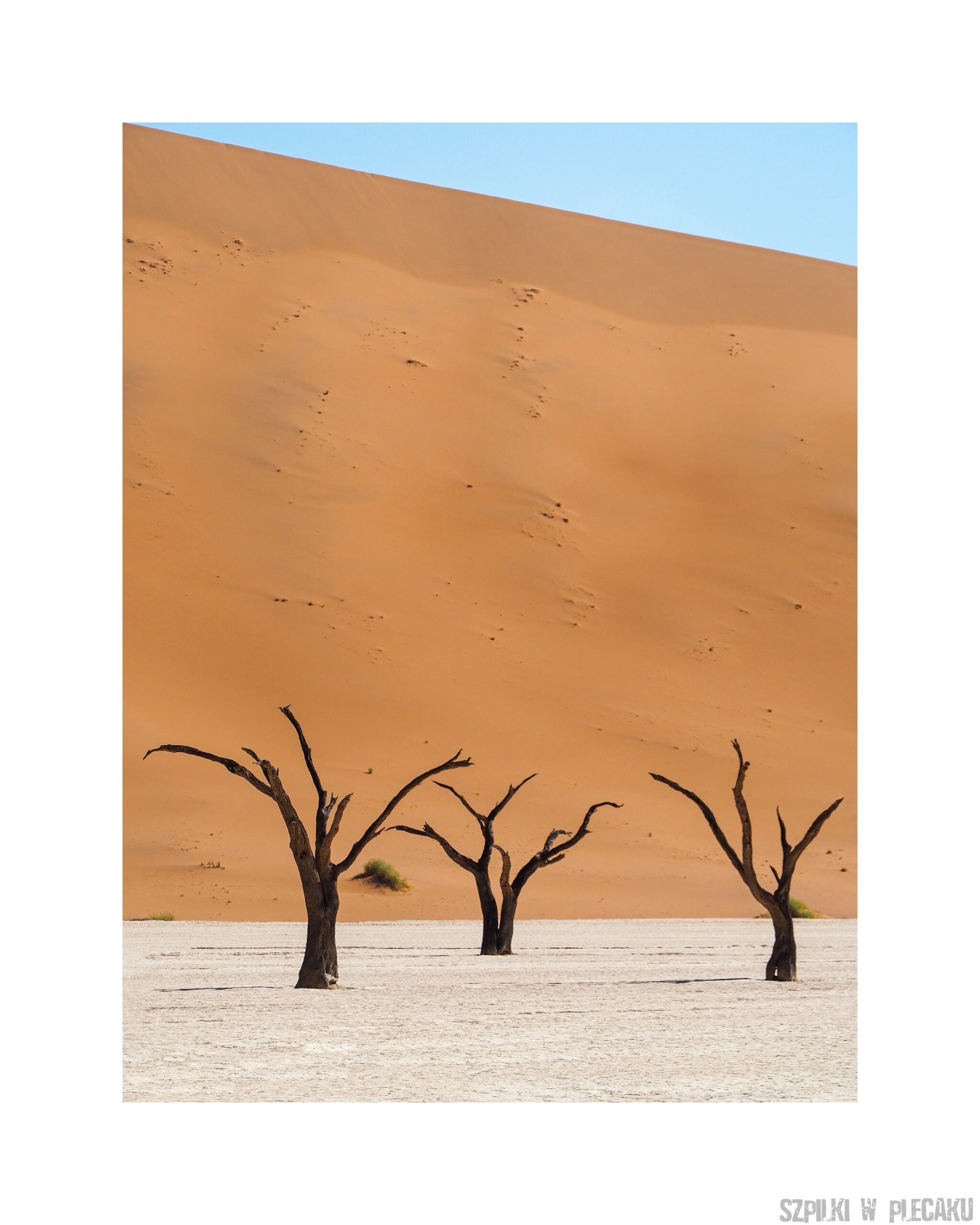 NAMIBIA - DEADVLEI - fotografia kolekcjonerska