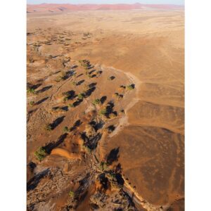 NAMIBIA - SOUSSESVLEI TWO WORLDS- fotografia kolekcjonerska