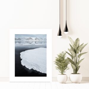 Fotografia kolekcjonerska